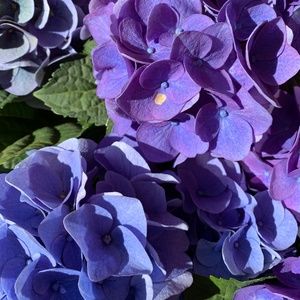 THANK YOU TO ALL MY VISITORS